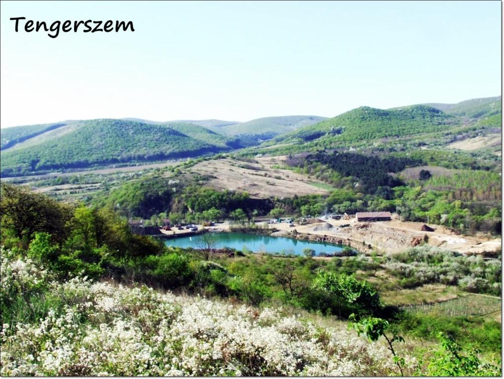 Benyei Fogado Panzio Es Etterem Bed & Breakfast Erdobenye Bagian luar foto